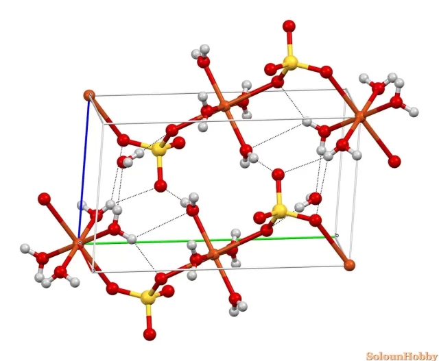 Copper sulfate in pet food myth and reality Blog Solo un Hobby